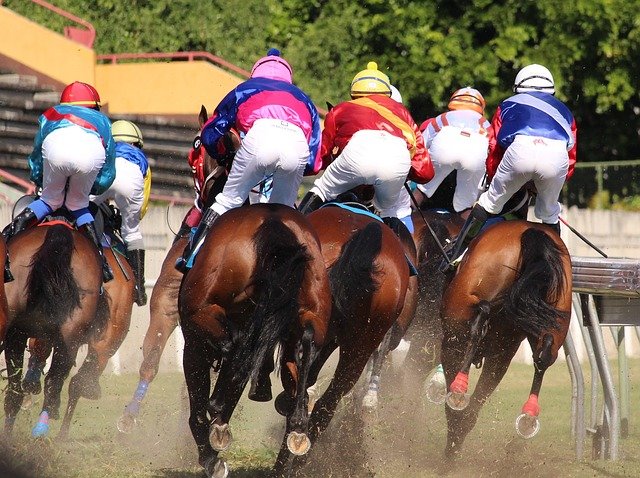 Which race has only one winner, and the length of the horse’s nose is the deciding factor?